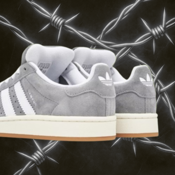 Campus 00 "Grey Gum"