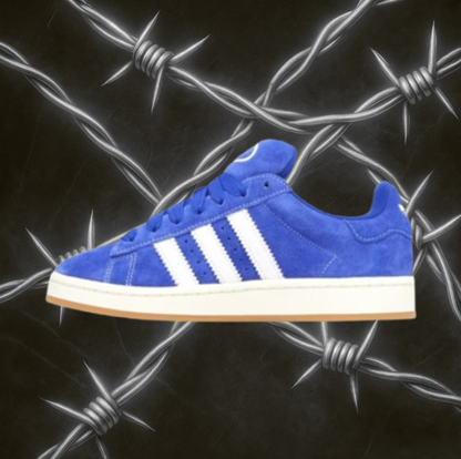 Campus 00 "Lucid Blue Gum"