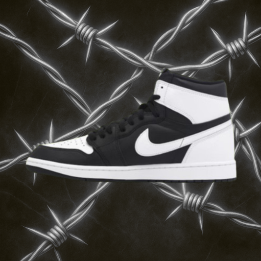 Jordan 1 "Reverse Panda"